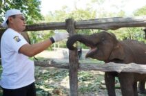 Kapolda Riau Kunjungi Taman Nasional Tesso Nilo, Serukan Perlindungan Gajah dan Lingkungan dalam Rangka HUT Bhyangkara ke 79