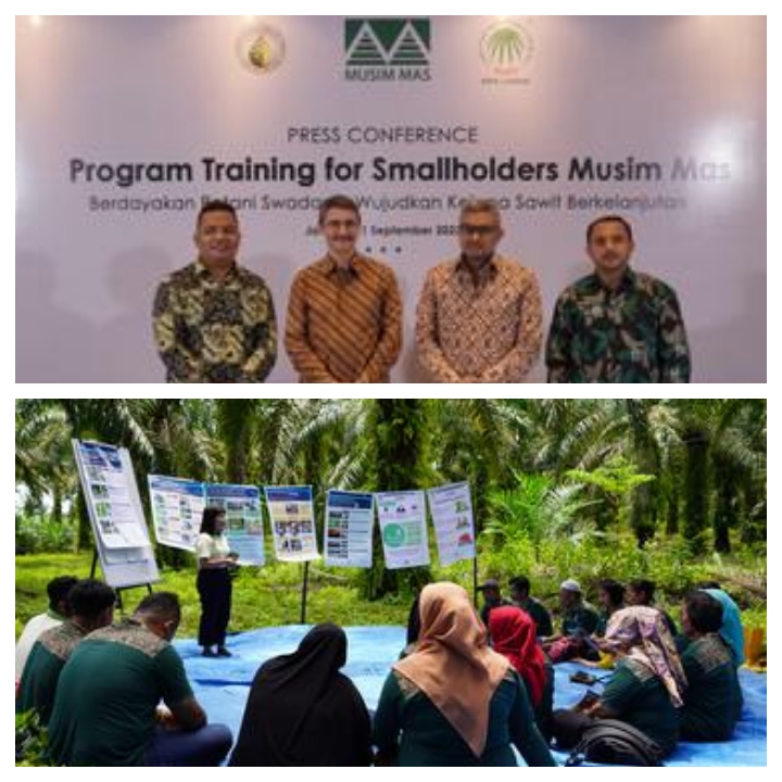 Lewat Platform RSPO, Petani Swadaya Musim Mas Raih Transaksi Hingga Rp 11 Miliar