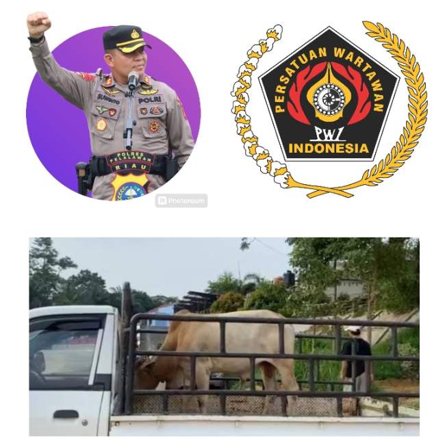 Merayakan Idul Adha, Kapolres AKBP Suwinto SH SIK Sumbangkan 1 Ekor Sapi Qurban kepada PWI Pelalawan
