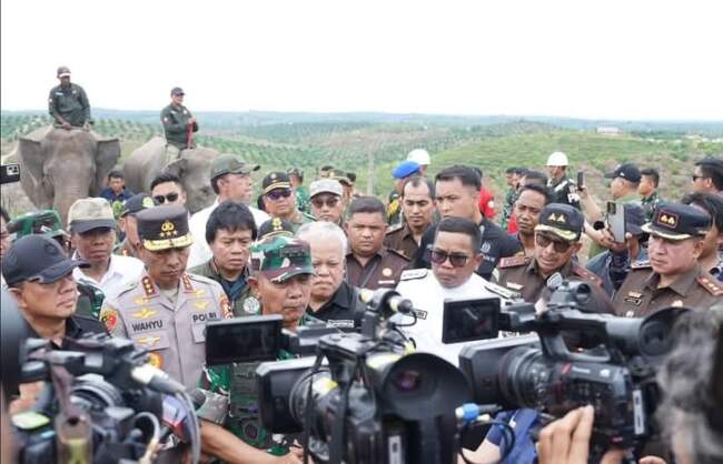 Penyelamatan Tesso Nilo: Langkah Tegas Pemulihan Paru-paru Dunia di Riau