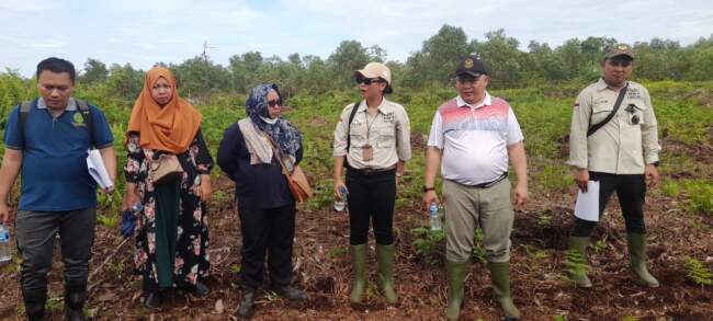 Detik-Detik Menegangkan di PN Pelalawan: Warga Pulau Muda Lawan Raksasa Korporasi, Putusan Dinanti Masyarakat